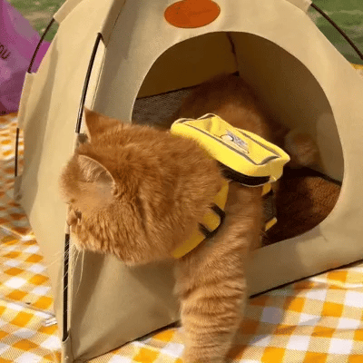 Verkoelende Katten Tent - CoolCat Retreat