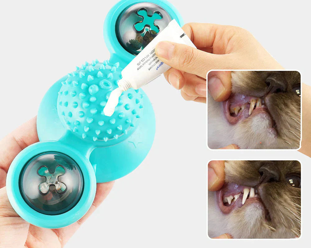 Windmolen Kattenspeeltje - WhirlPlay