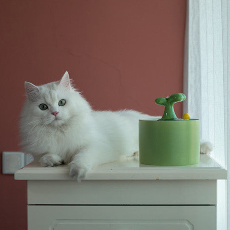 Kattenfontein - SpringFlow