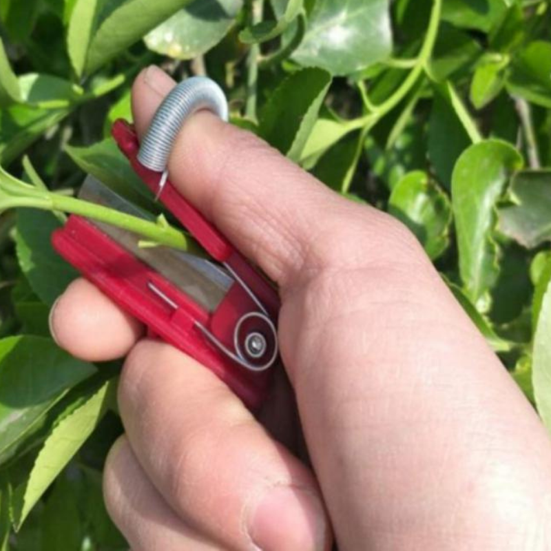 GardenGrip Pluk eenvoudig je eigen groenten en fruit met dit handige gereedschap!