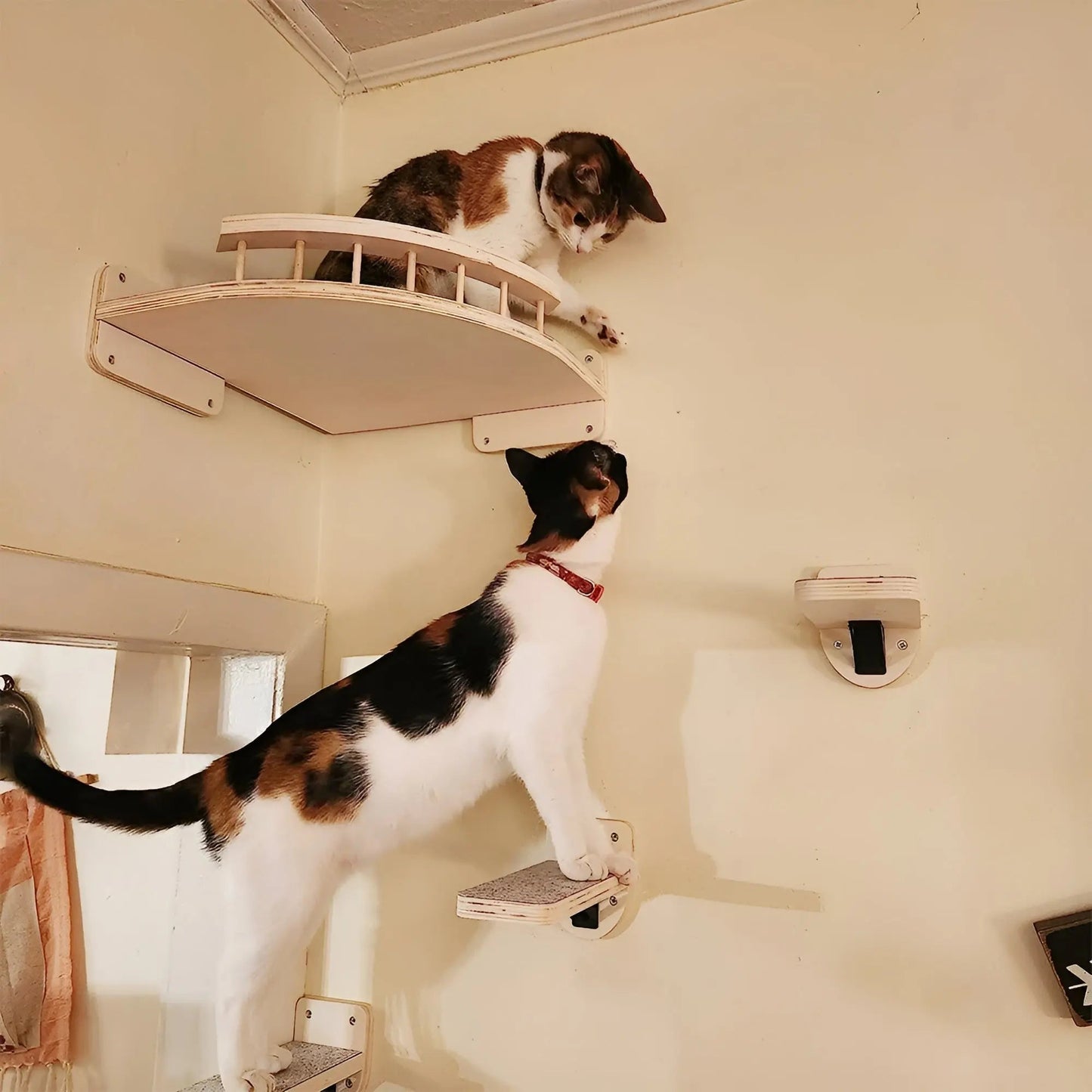 Wandklimplank voor Katten met Krabpaal – ClimbPaws