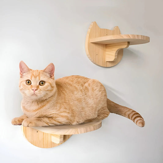 Wandklimplank voor Katten met Krabpaal – ClimbPaws