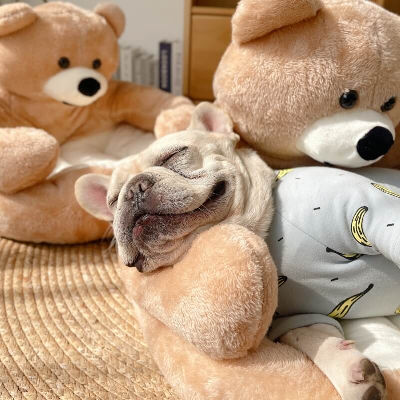 Verstelbare Knuffelbeer - SnuggleBear