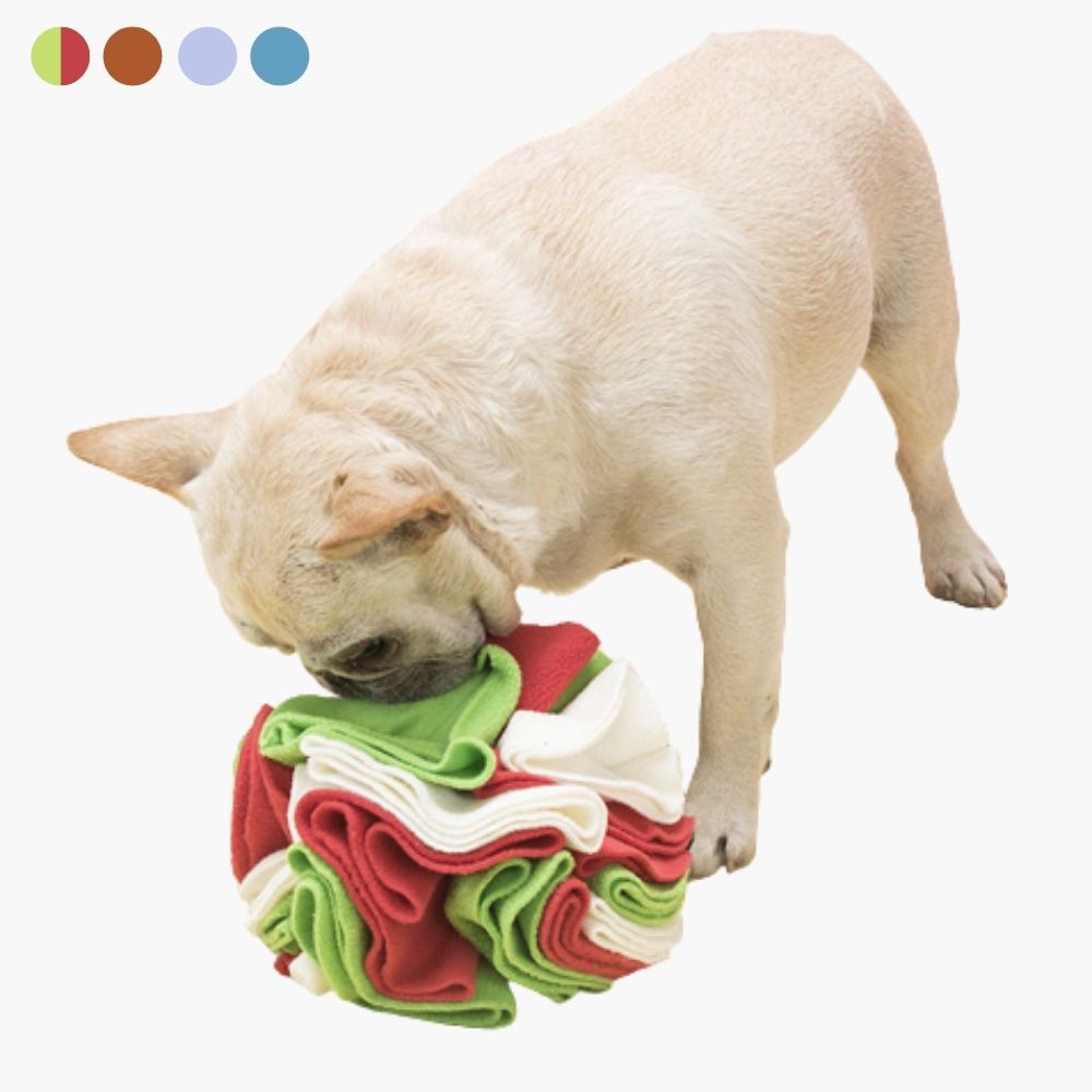 Snuffelbal voor Honden - PawMaze