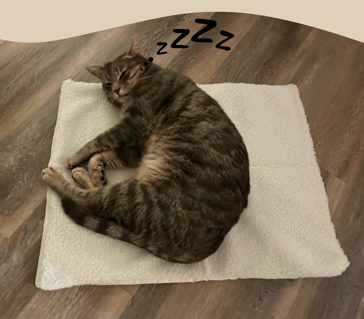 Zelfverwarmende Kattenmat - WarmPurr