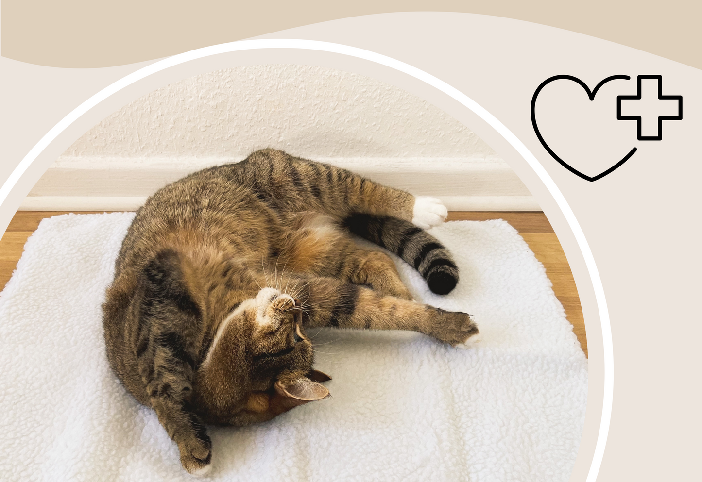 Zelfverwarmende Kattenmat - WarmPurr