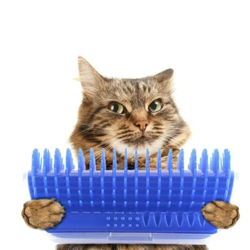 Katten  - PurrGroom
