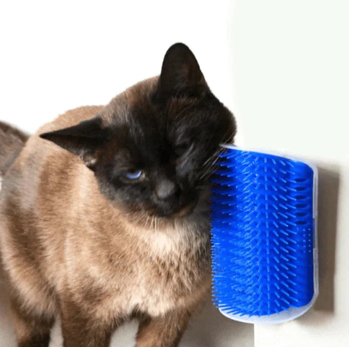 Katten  - PurrGroom