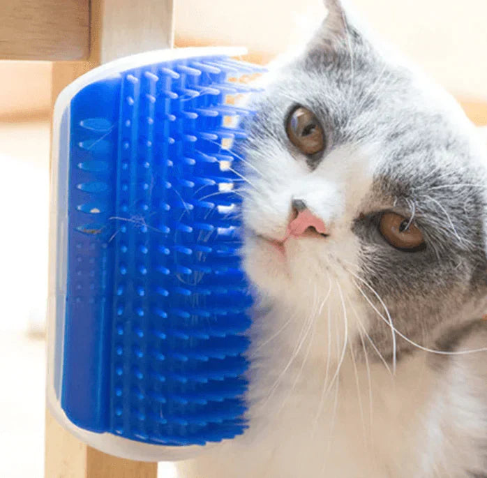 Katten  - PurrGroom