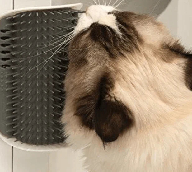 Katten  - PurrGroom