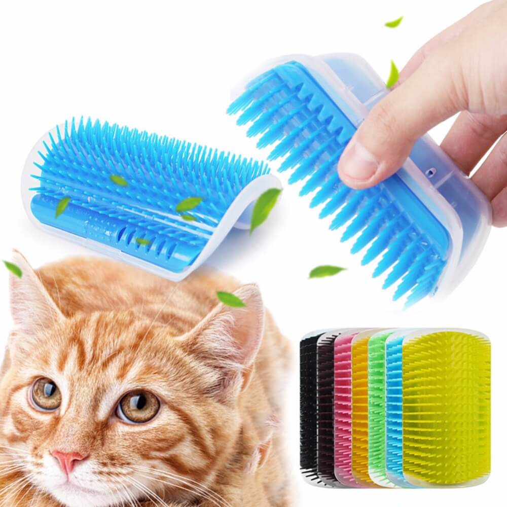Katten  - PurrGroom
