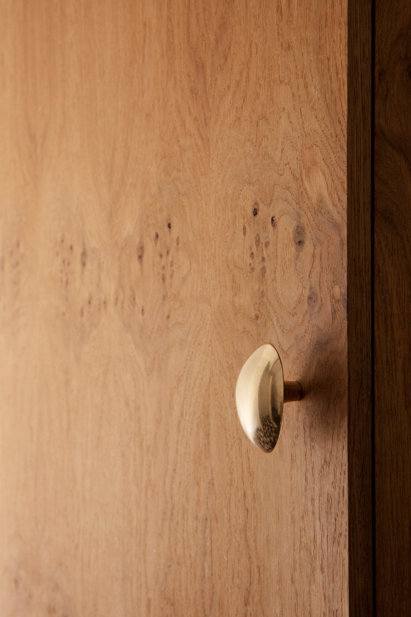 Open Box - Chanterelle Hook - Brass