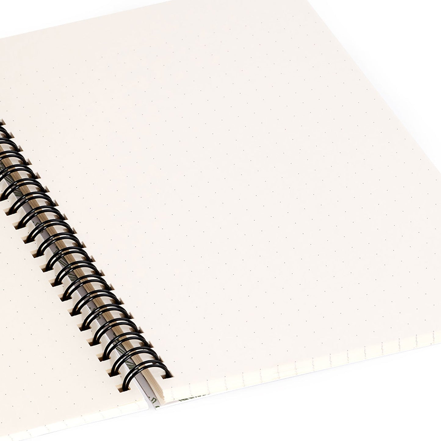 CoastL Studio Palm Sketches Spiral Notebook