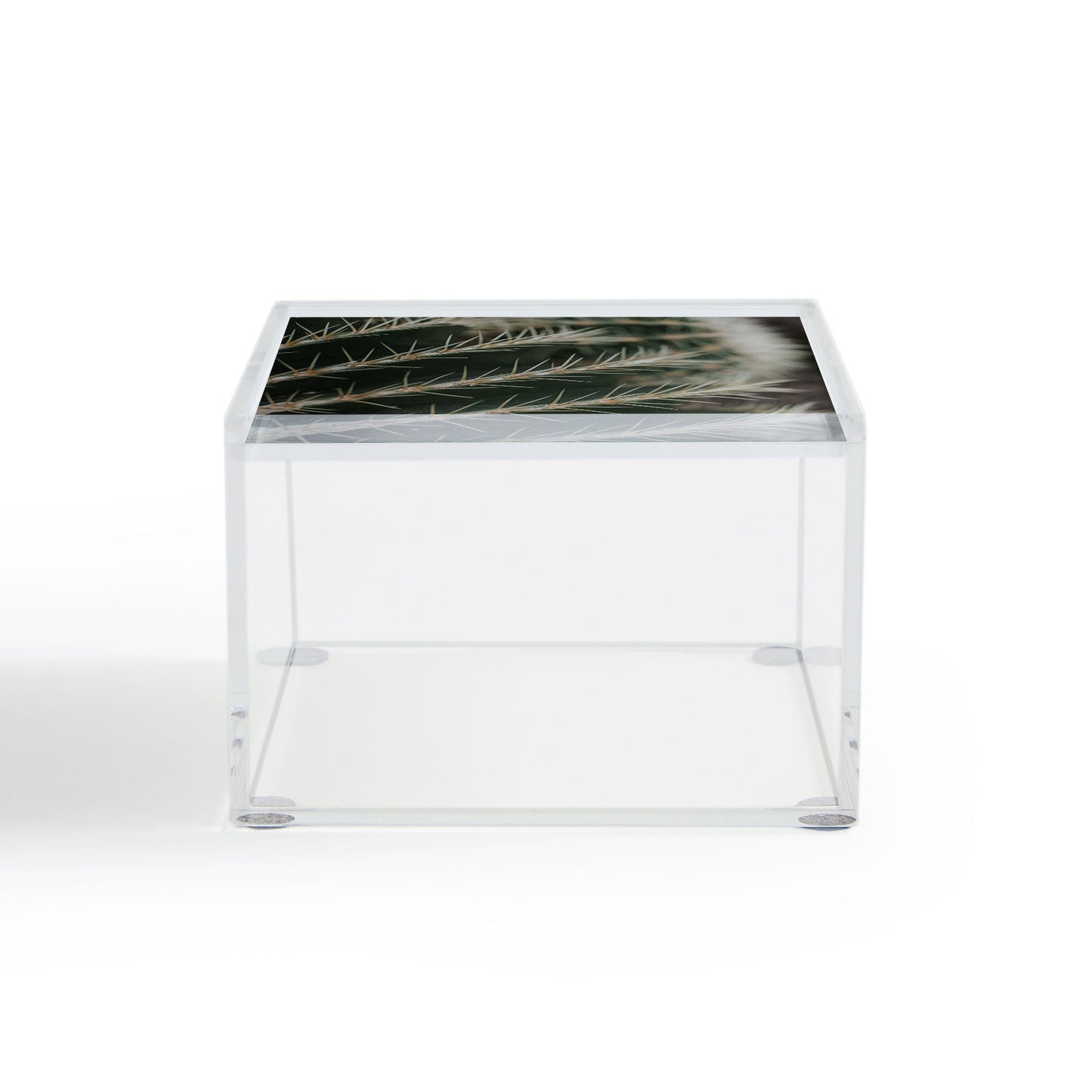 Hello Twiggs Green Cactus Acrylic Box
