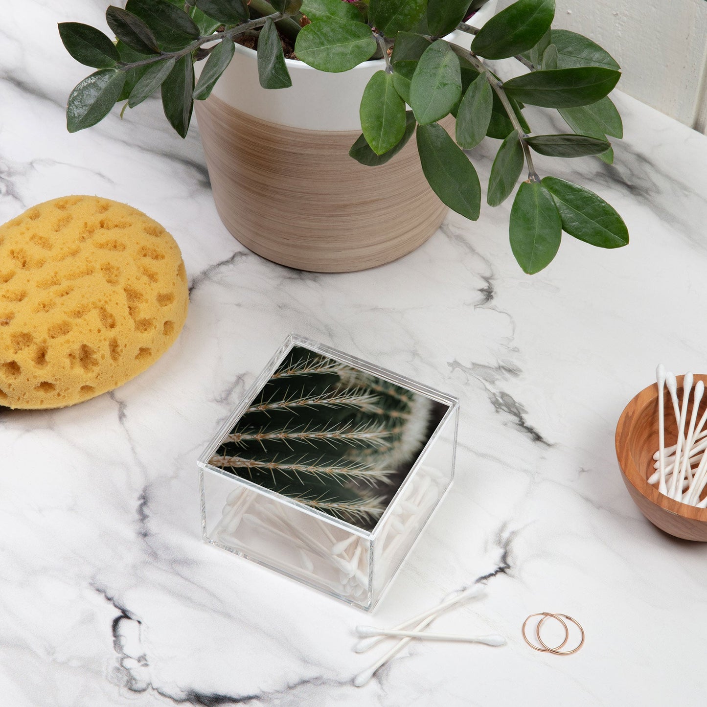 Hello Twiggs Green Cactus Acrylic Box