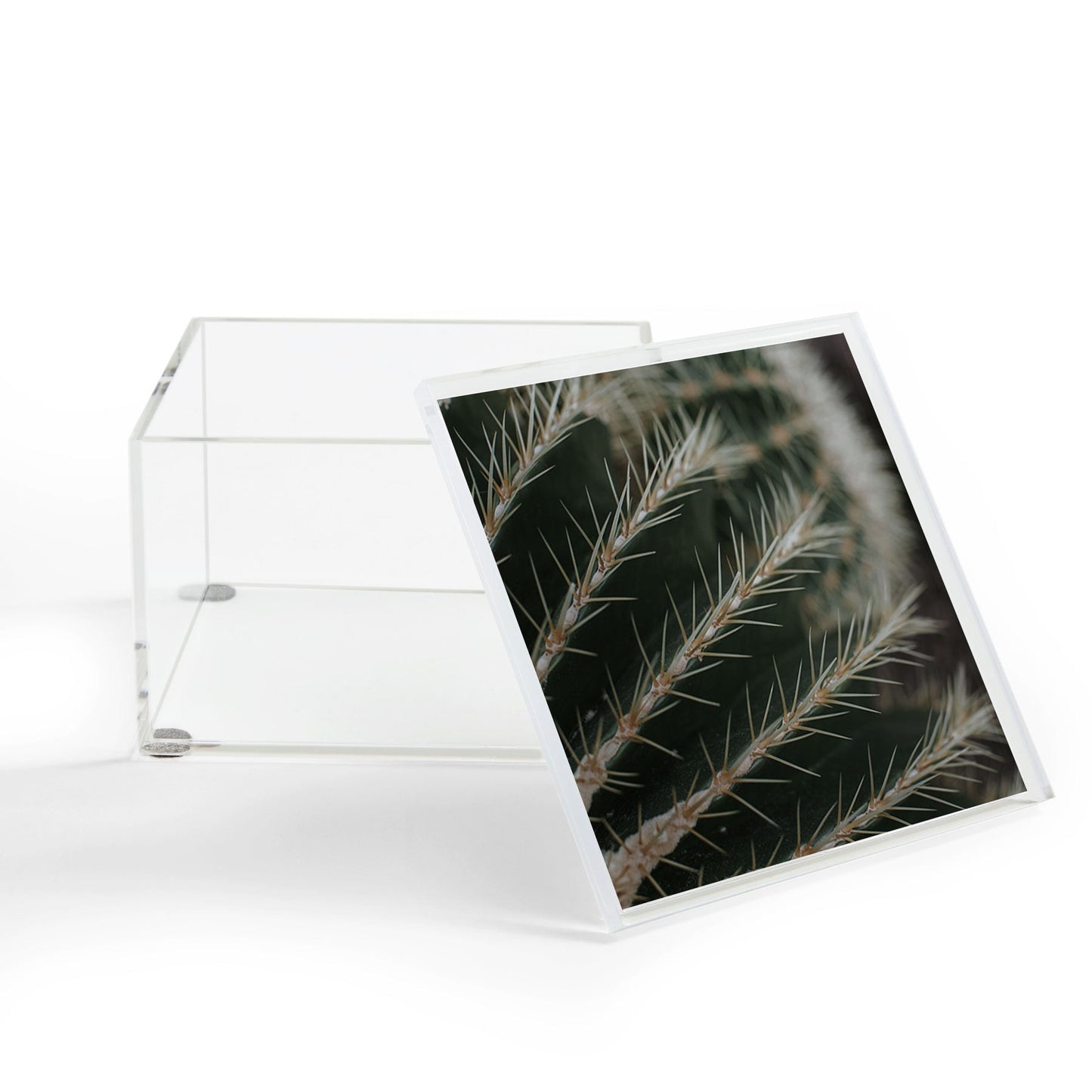 Hello Twiggs Green Cactus Acrylic Box