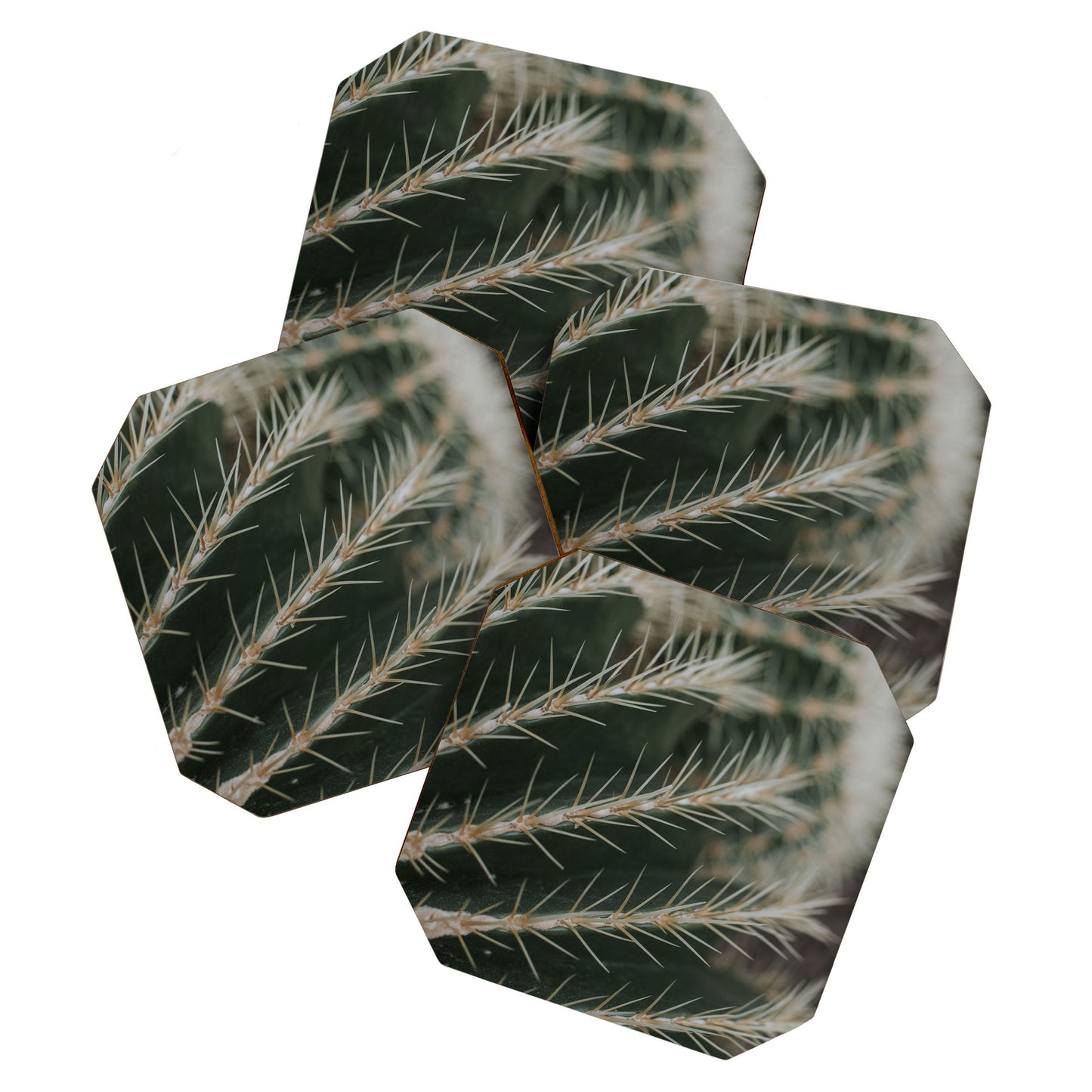 Hello Twiggs Green Cactus Coaster Set