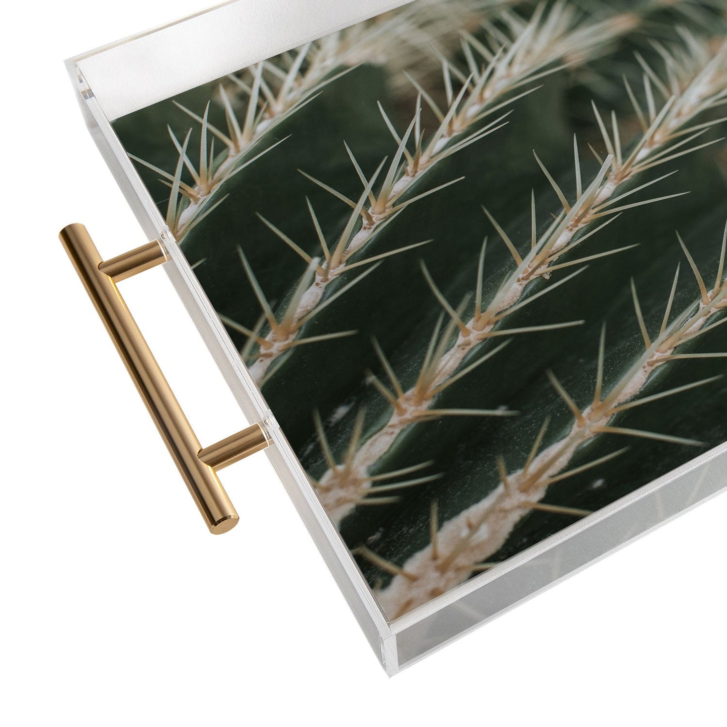 Hello Twiggs Green Cactus Acrylic Tray
