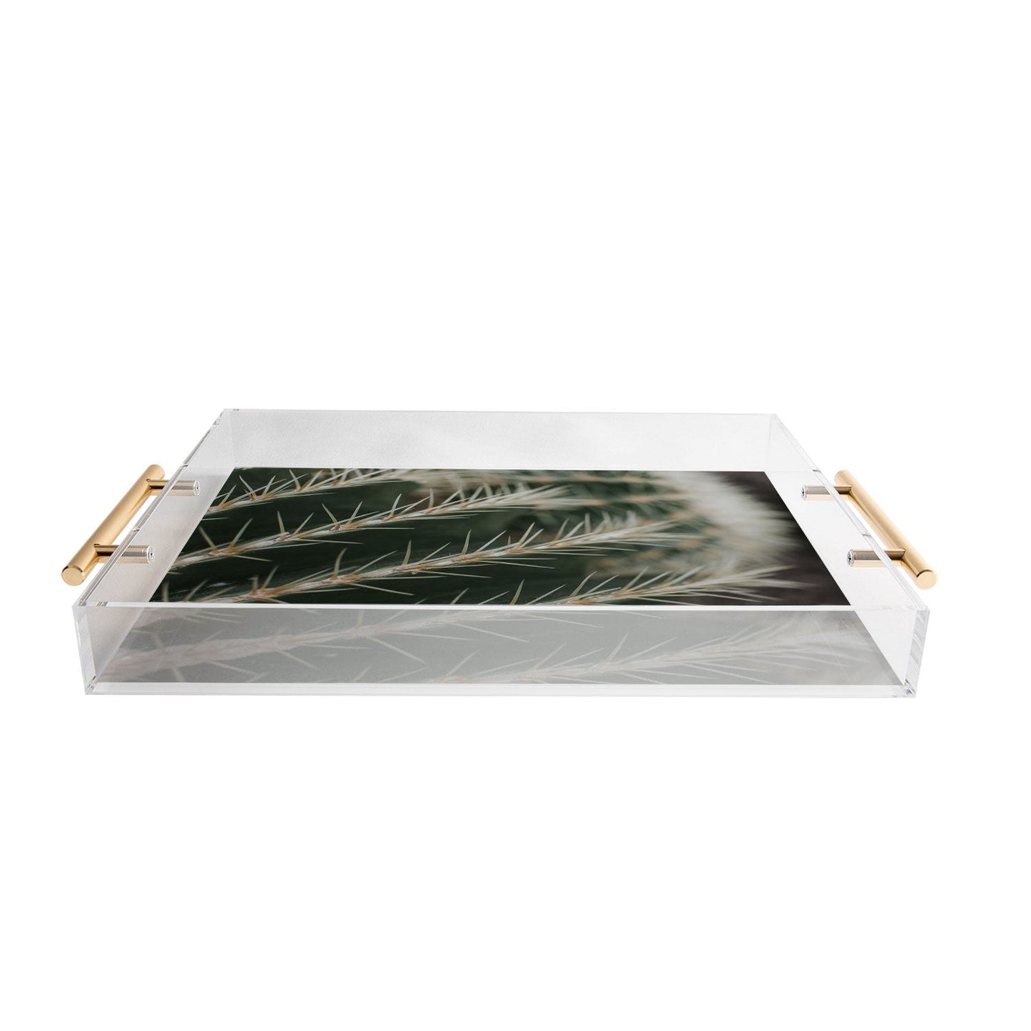 Hello Twiggs Green Cactus Acrylic Tray