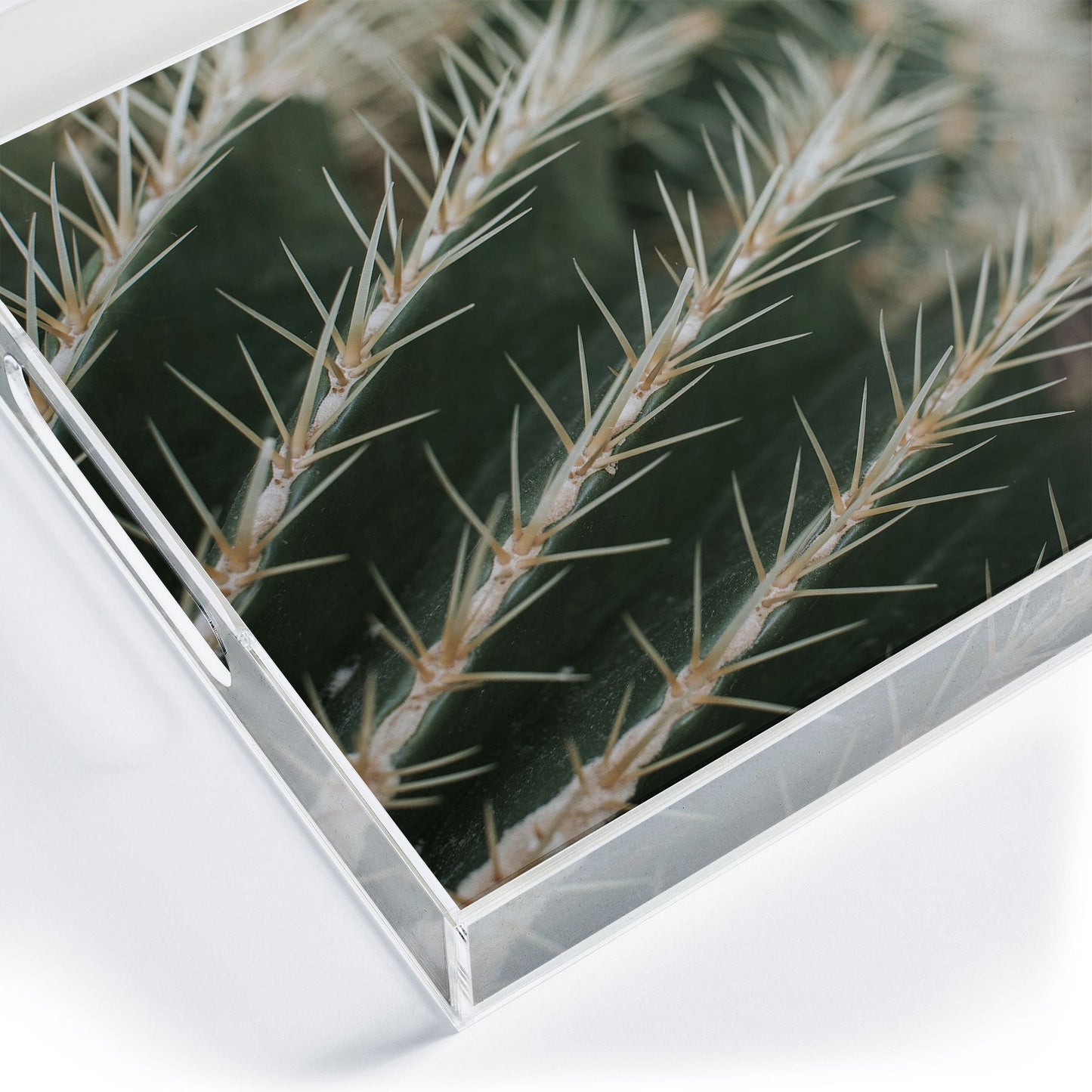 Hello Twiggs Green Cactus Acrylic Tray