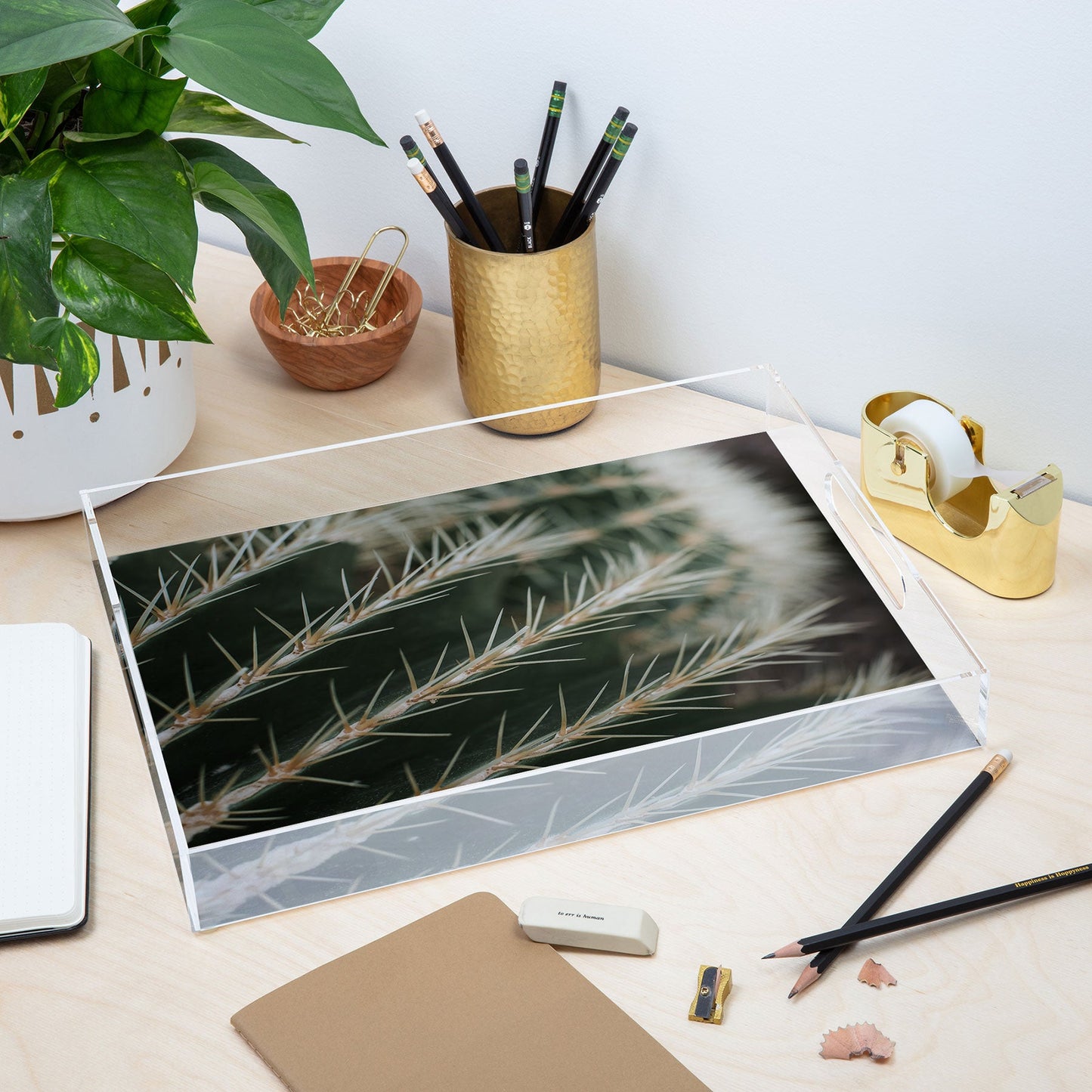Hello Twiggs Green Cactus Acrylic Tray
