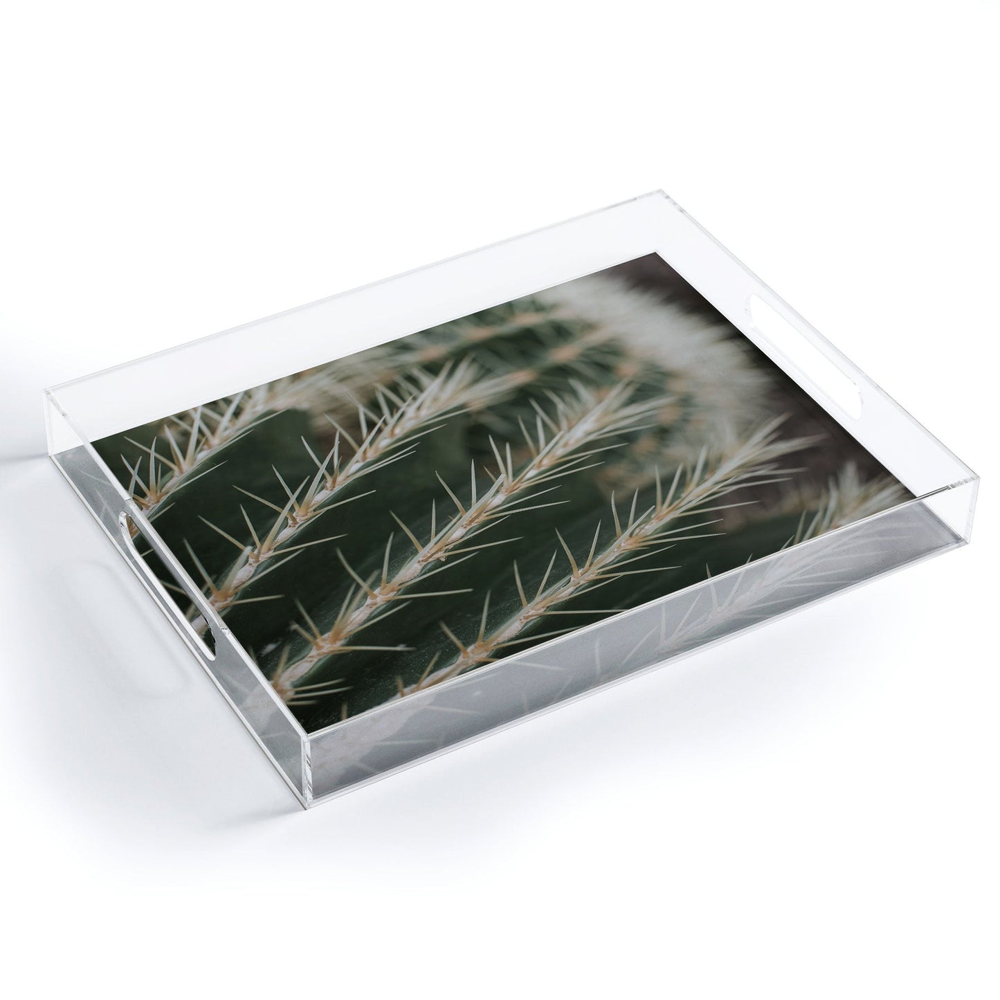 Hello Twiggs Green Cactus Acrylic Tray