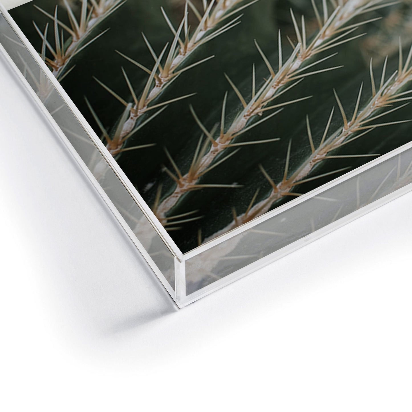 Hello Twiggs Green Cactus Acrylic Tray