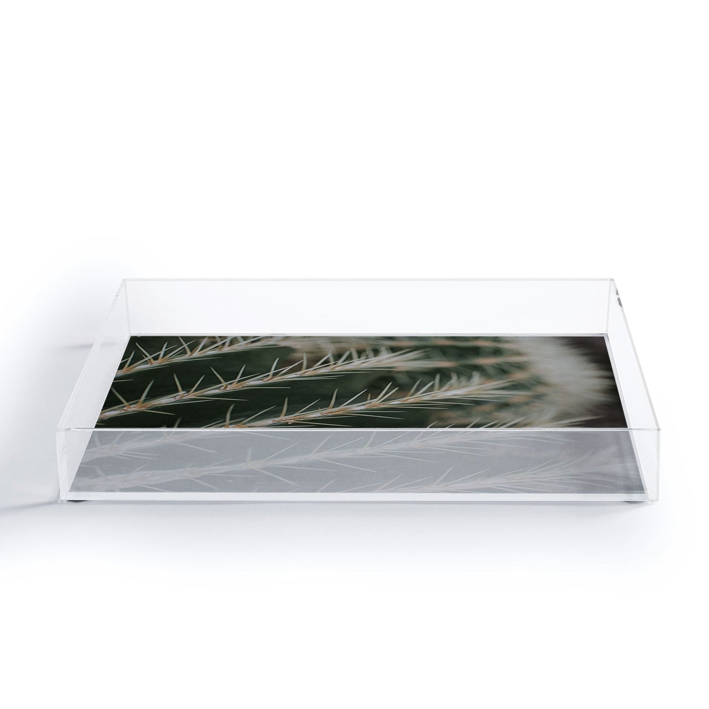Hello Twiggs Green Cactus Acrylic Tray