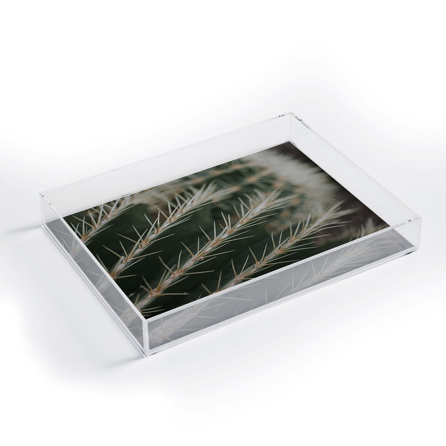 Hello Twiggs Green Cactus Acrylic Tray