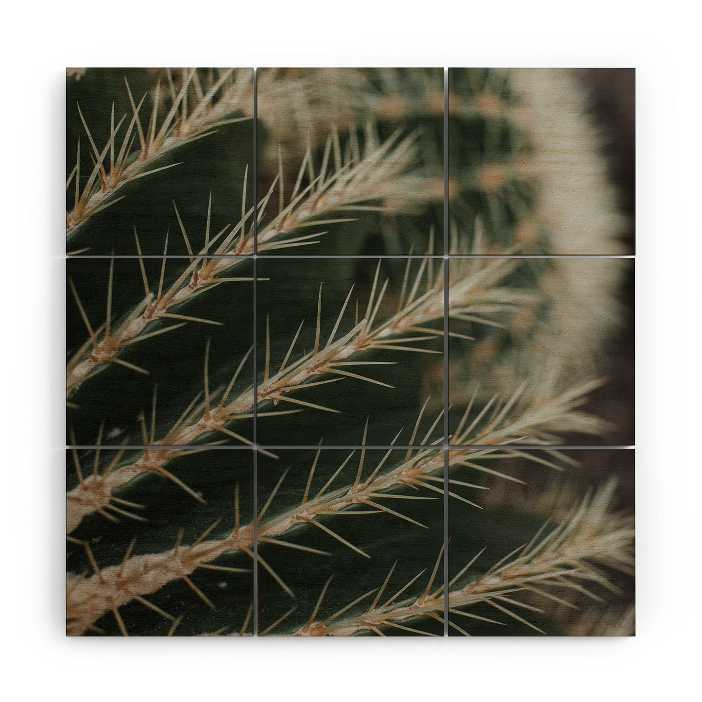 Hello Twiggs Green Cactus Wood Wall Mural