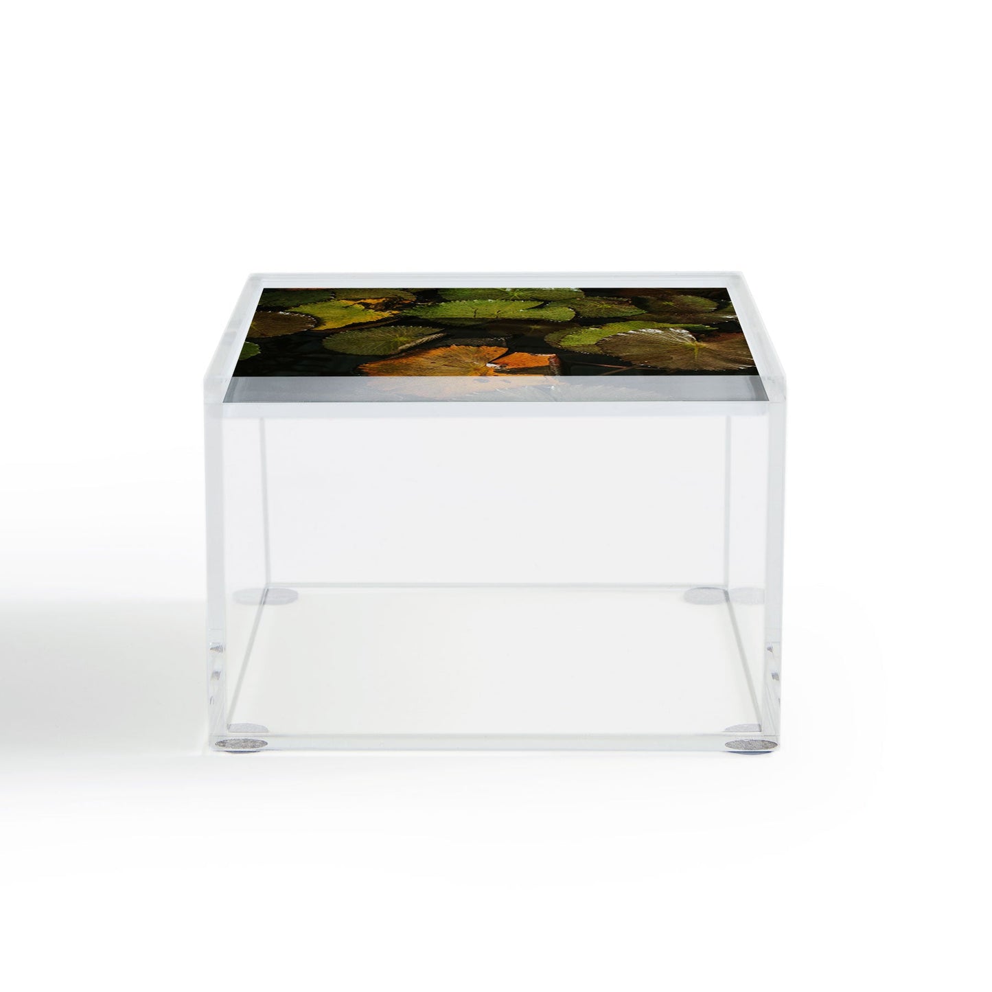 Hello Twiggs Lily Pads Acrylic Box