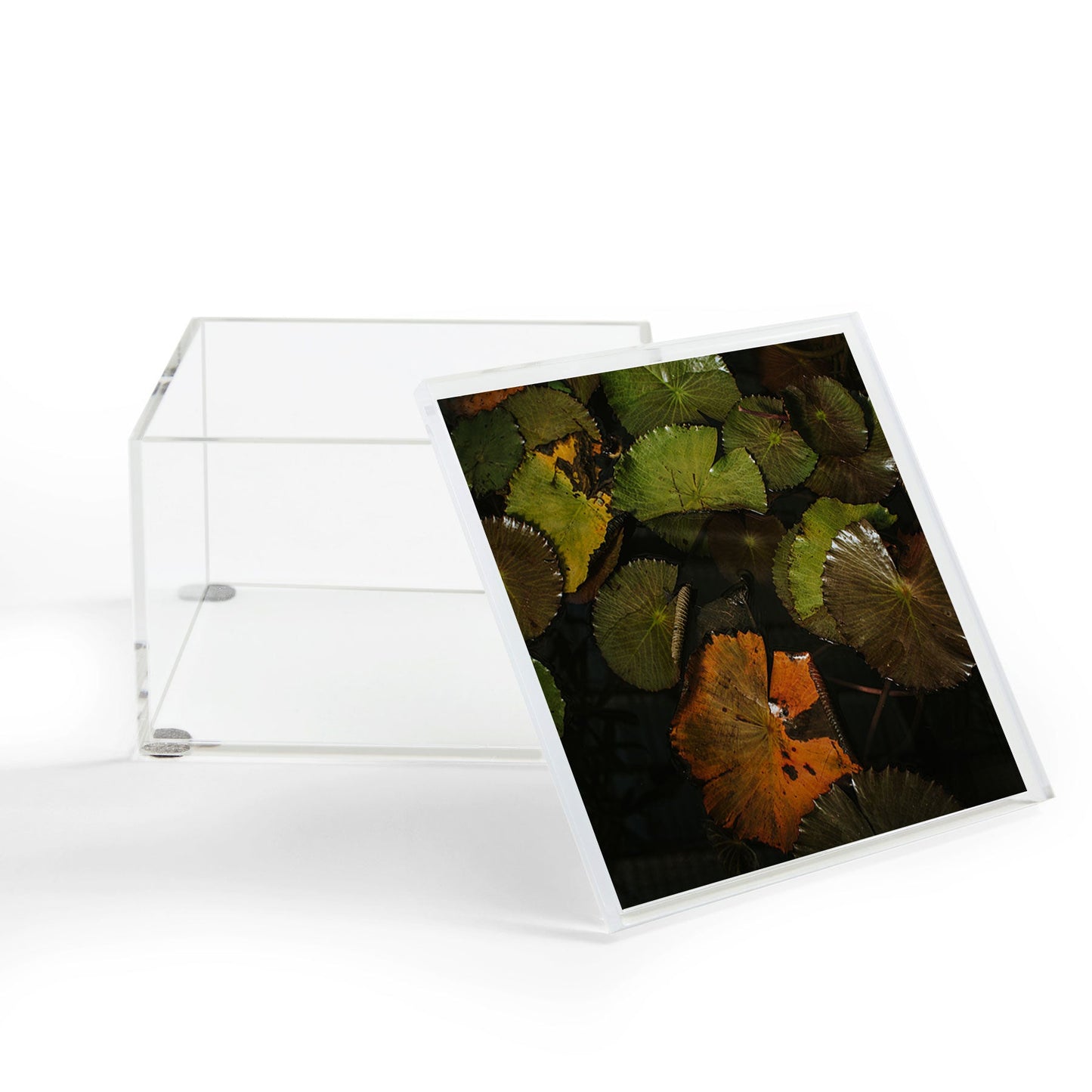Hello Twiggs Lily Pads Acrylic Box