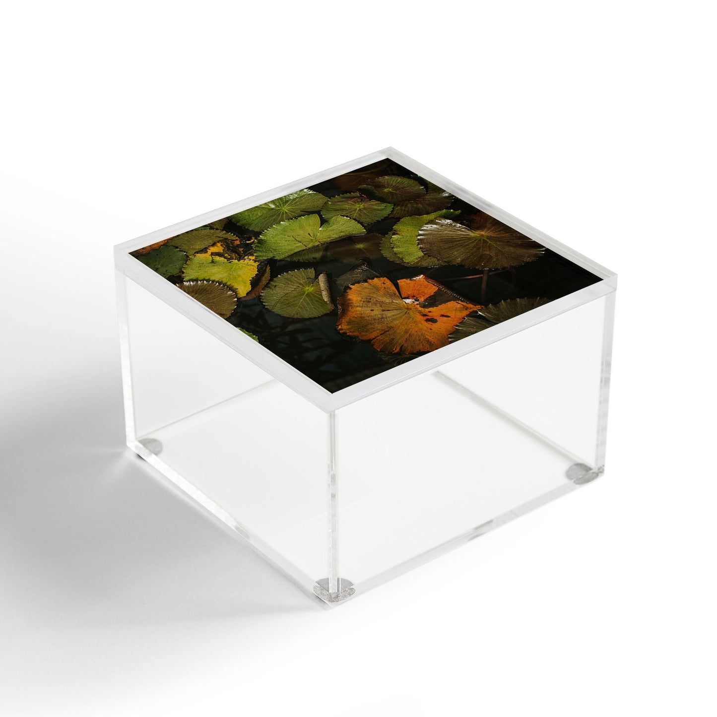 Hello Twiggs Lily Pads Acrylic Box