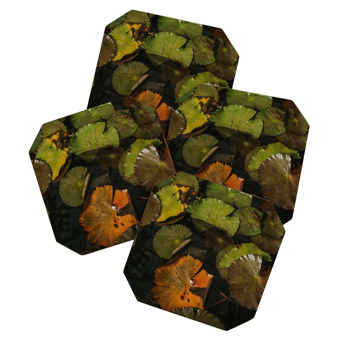 Hello Twiggs Lily Pads Coaster Set