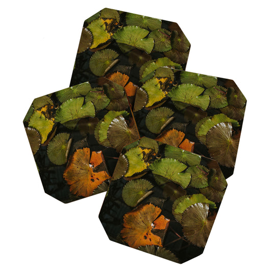Hello Twiggs Lily Pads Coaster Set