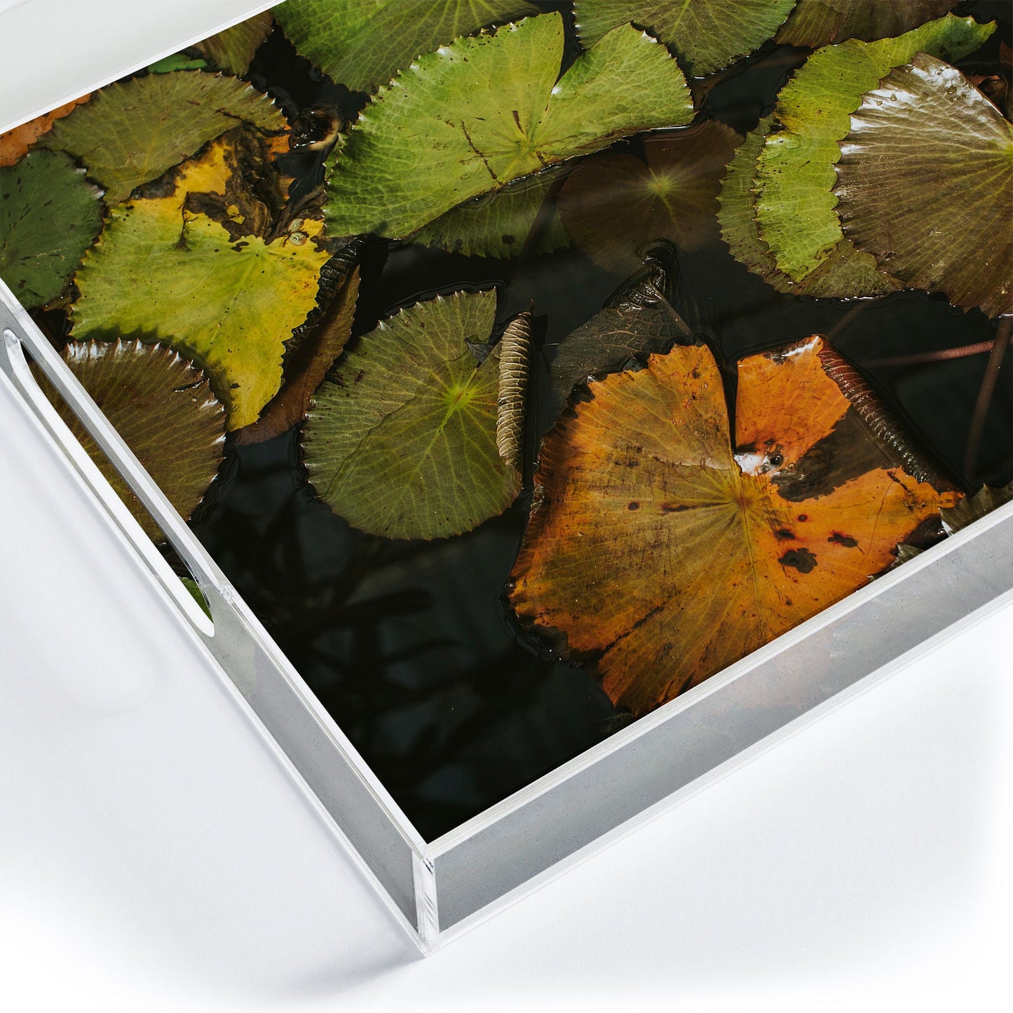Hello Twiggs Lily Pads Acrylic Tray