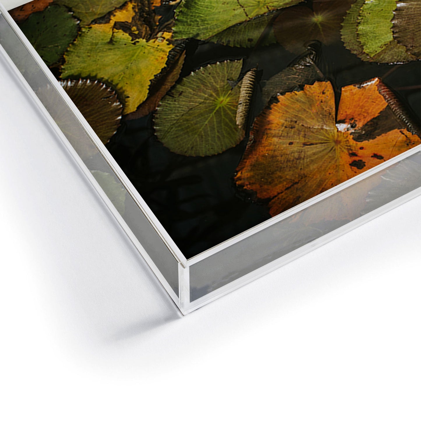 Hello Twiggs Lily Pads Acrylic Tray