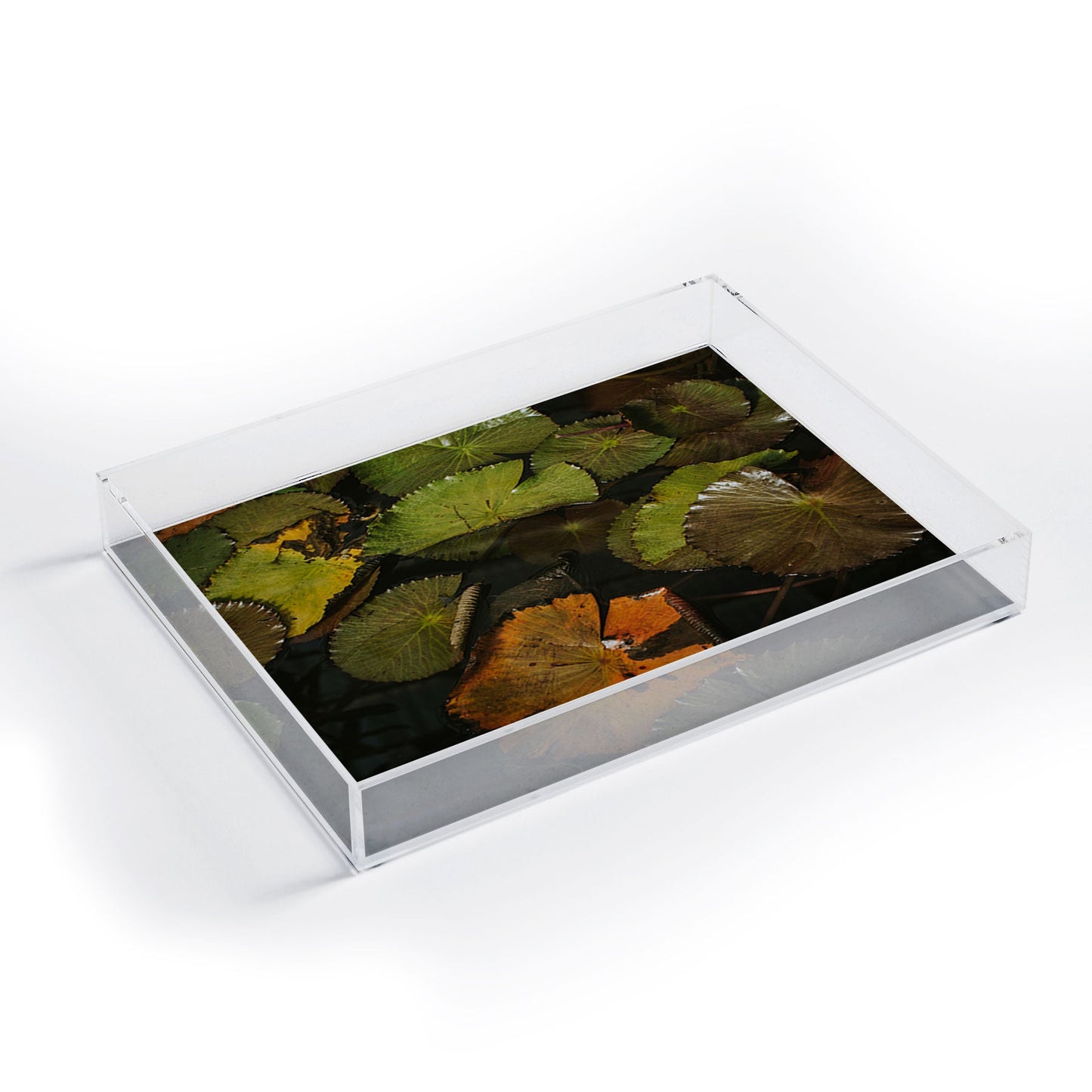 Hello Twiggs Lily Pads Acrylic Tray