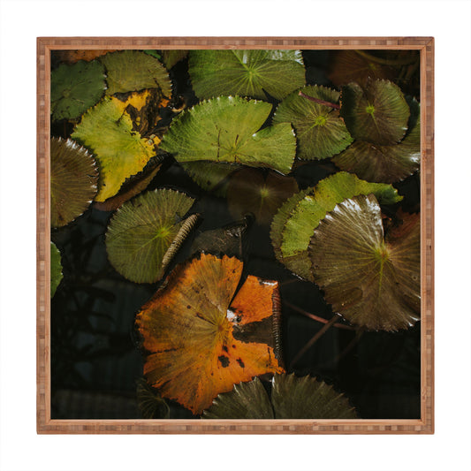 Hello Twiggs Lily Pads Square Tray
