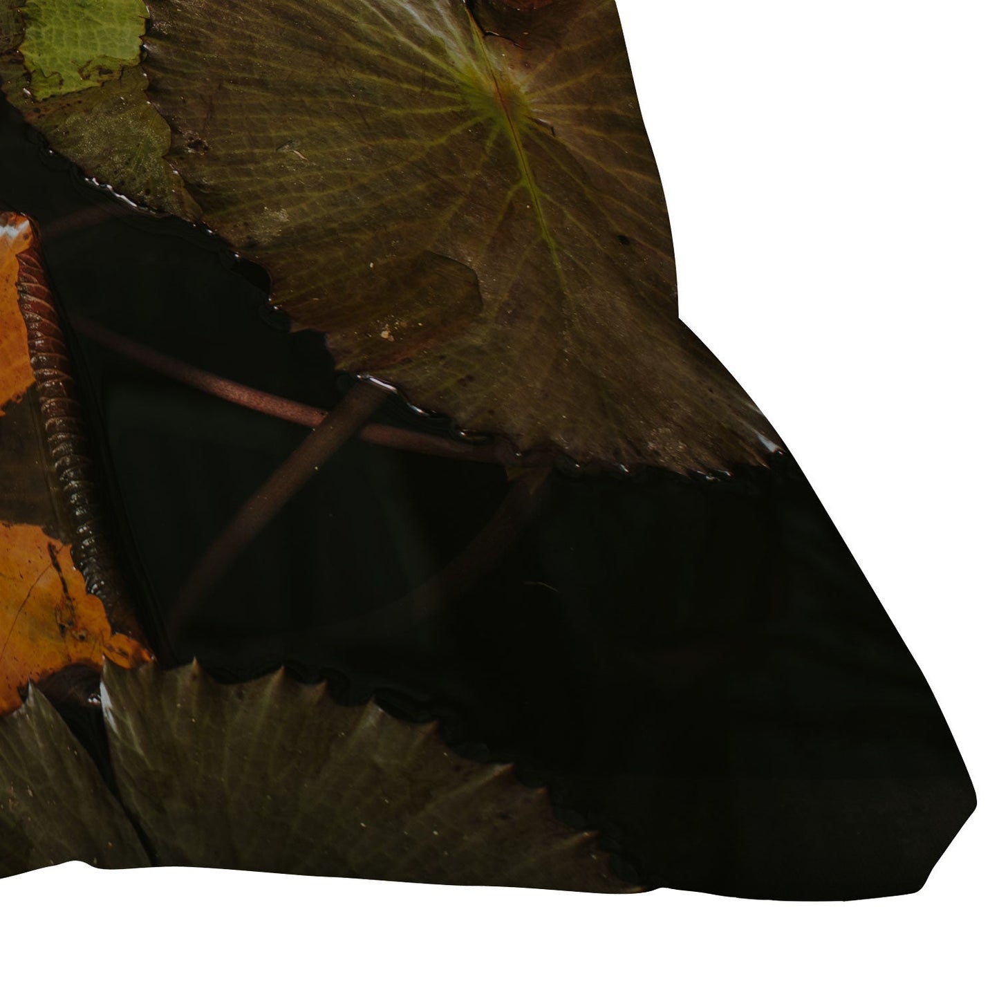 Hello Twiggs Lily Pads Outdoor Throw Pillow