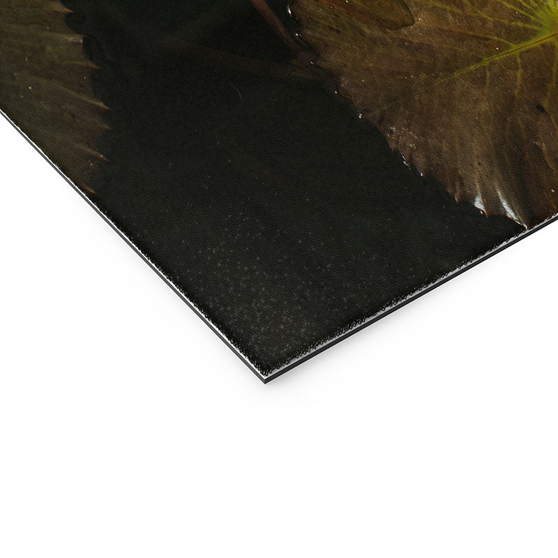 Hello Twiggs Lily Pads Welcome Mat