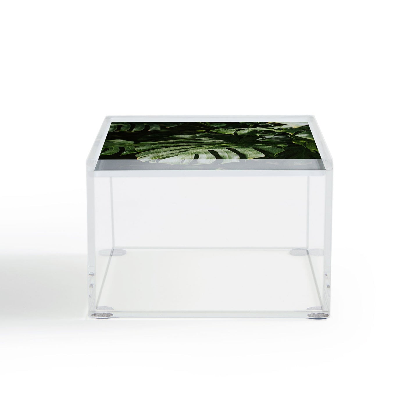 Hello Twiggs Monstera Leaves Acrylic Box