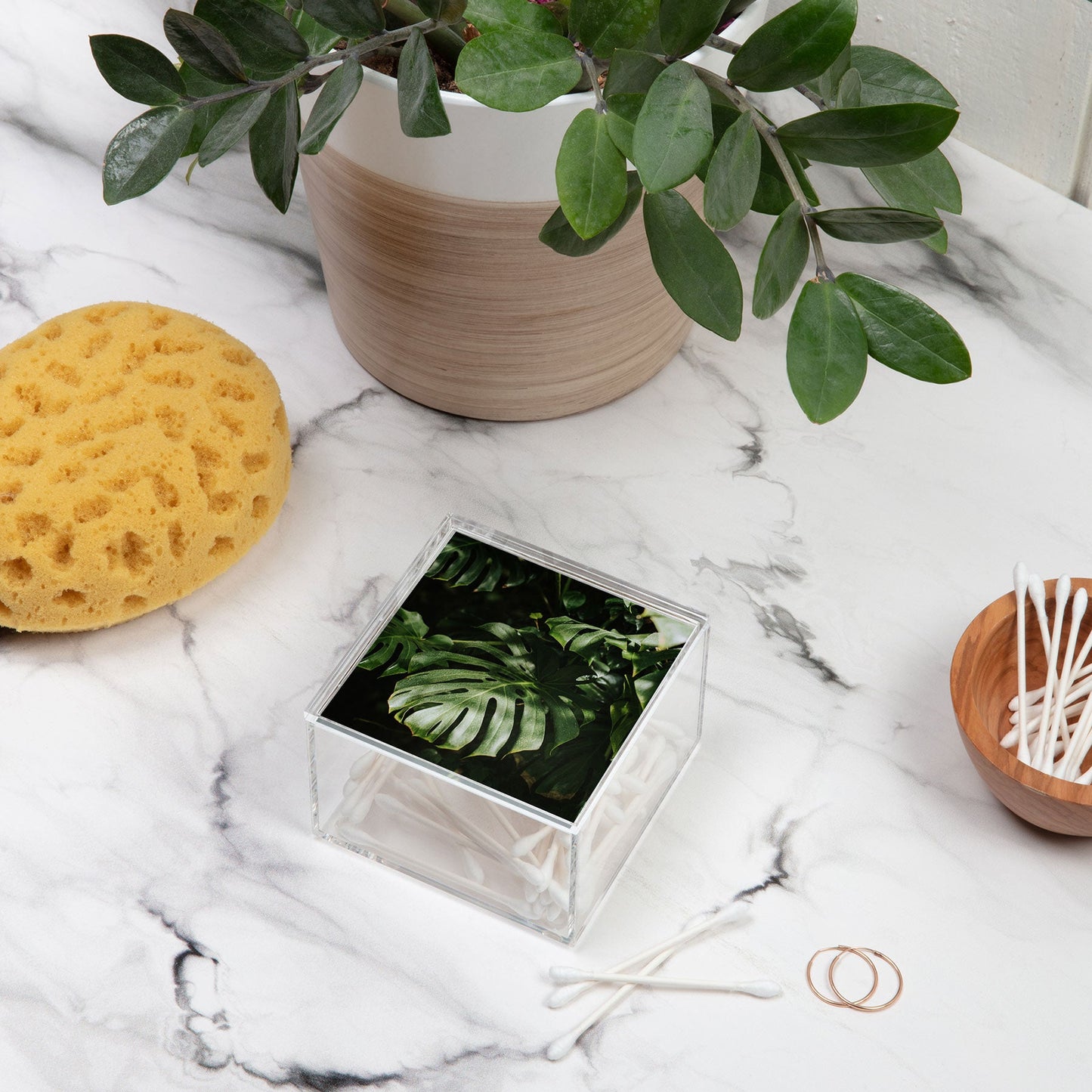 Hello Twiggs Monstera Leaves Acrylic Box