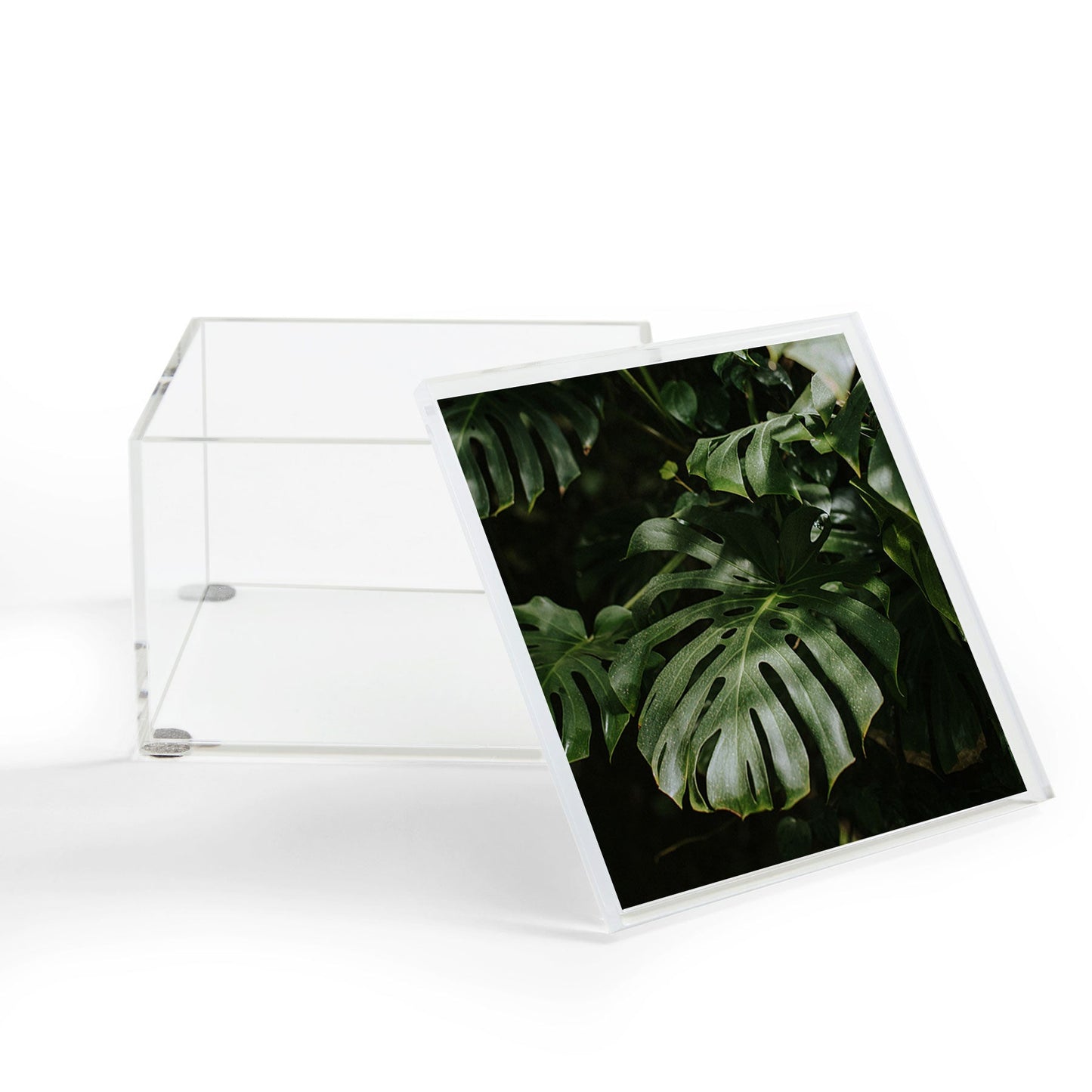 Hello Twiggs Monstera Leaves Acrylic Box