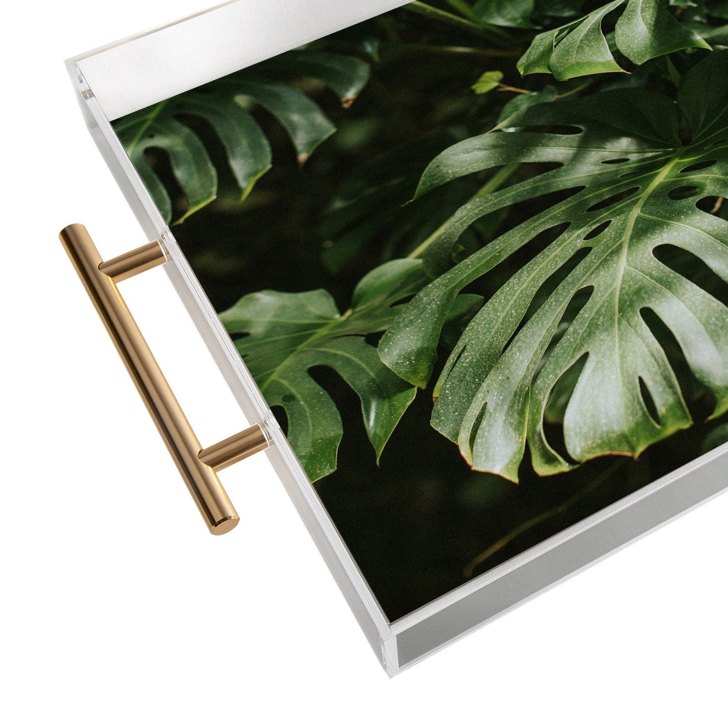 Hello Twiggs Monstera Leaves Acrylic Tray