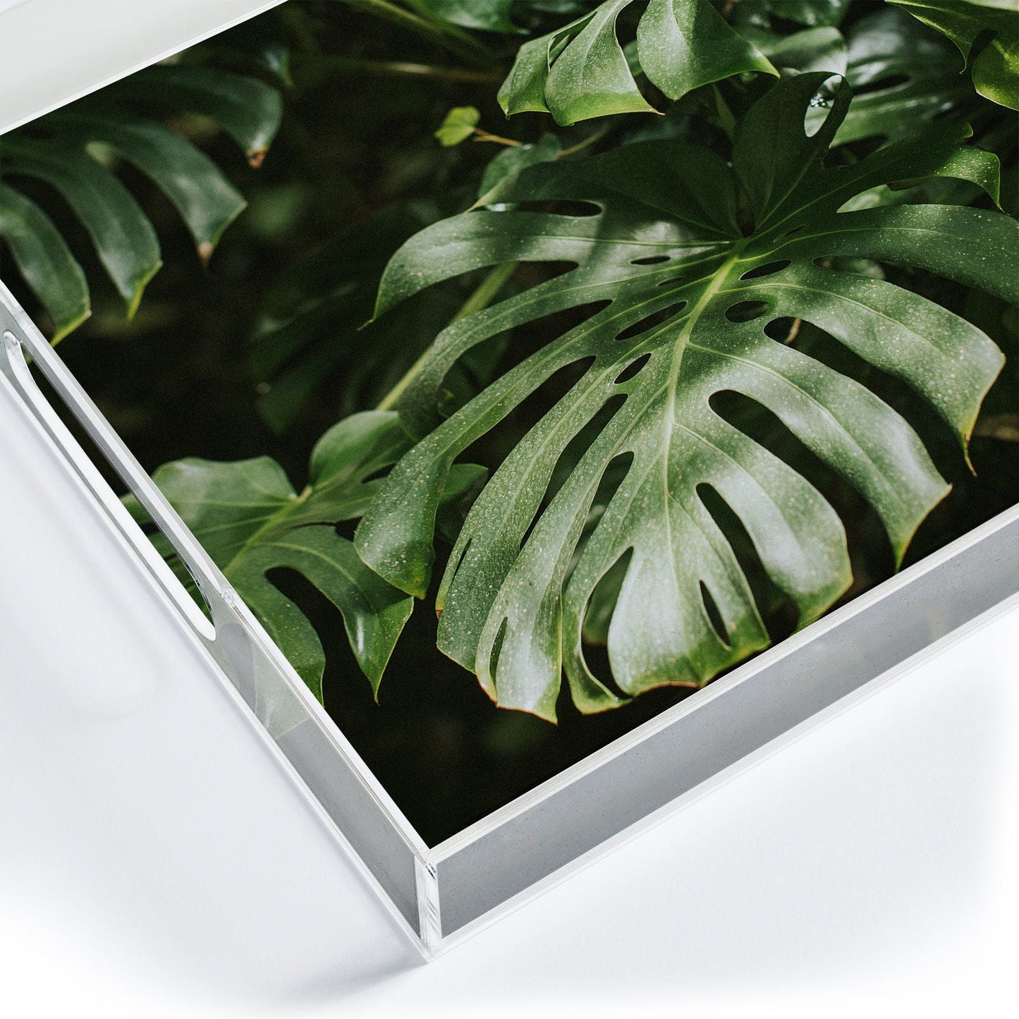 Hello Twiggs Monstera Leaves Acrylic Tray
