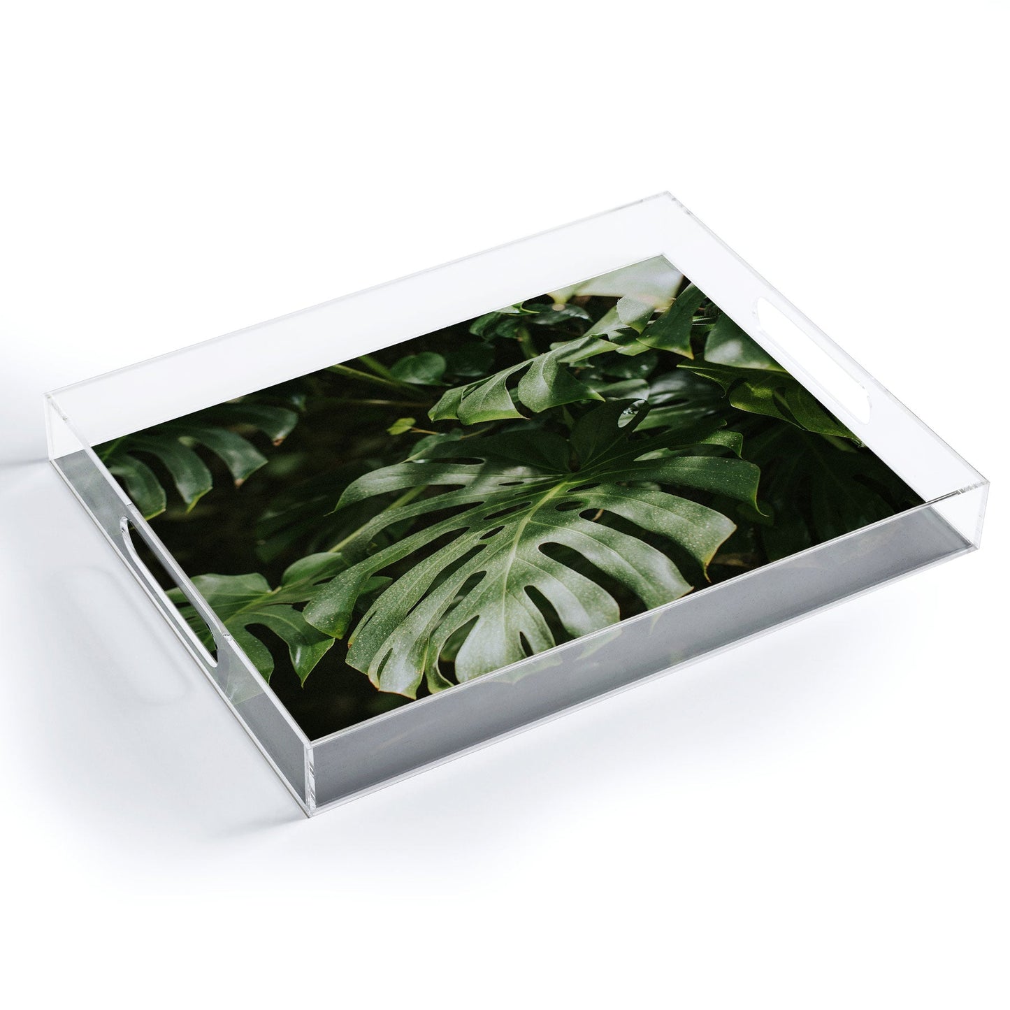 Hello Twiggs Monstera Leaves Acrylic Tray