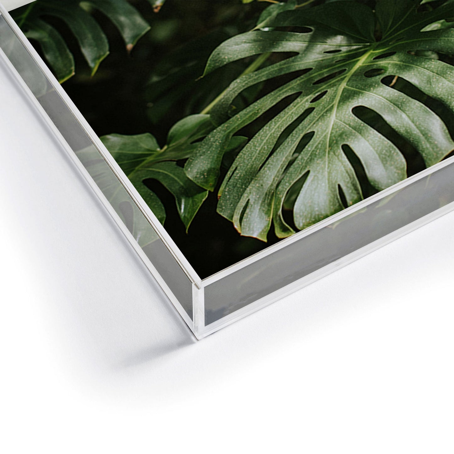 Hello Twiggs Monstera Leaves Acrylic Tray