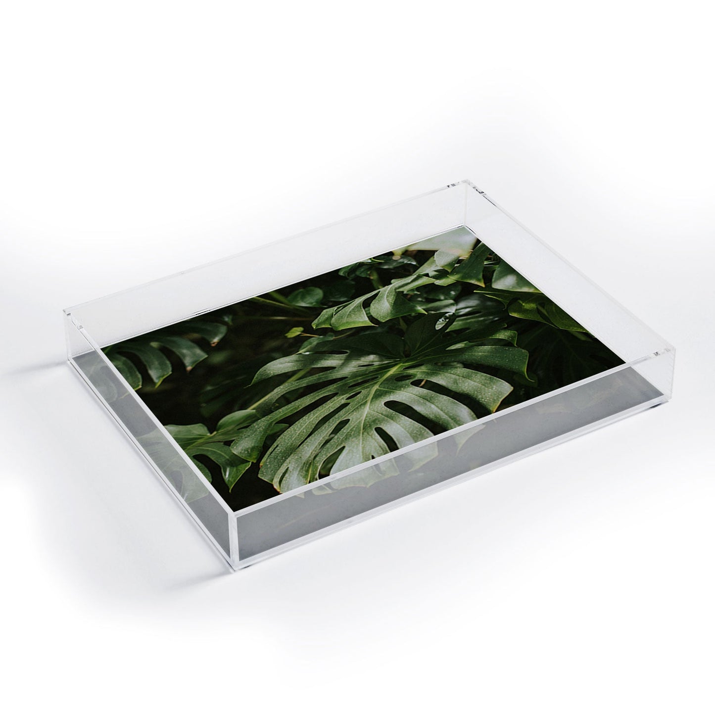 Hello Twiggs Monstera Leaves Acrylic Tray