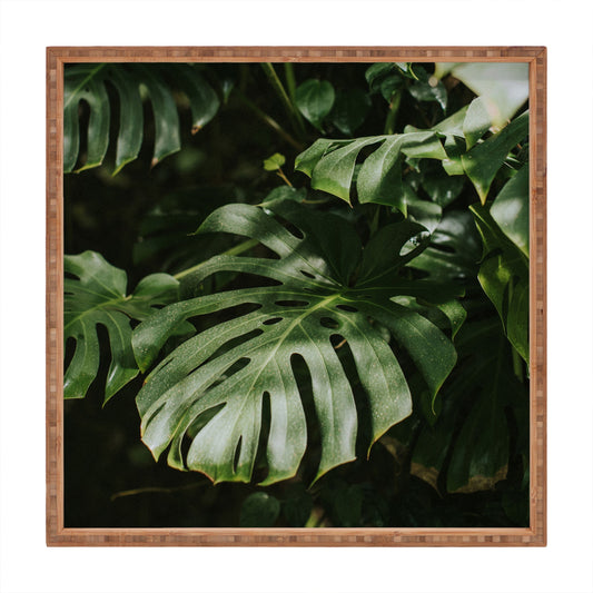 Hello Twiggs Monstera Leaves Square Tray